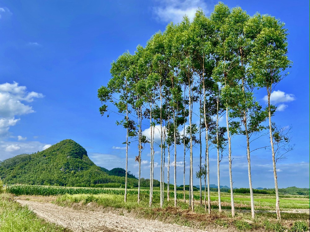 我公司再获两项殊荣